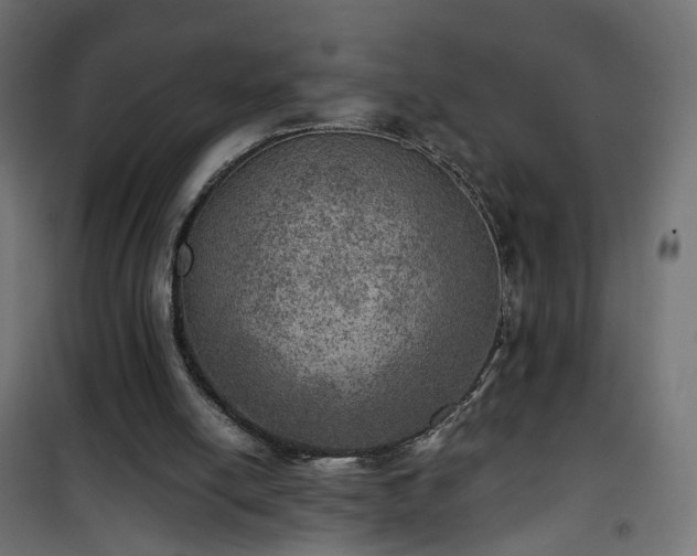 X0000101440054200807141316