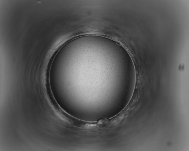 X0000101440055200807141316