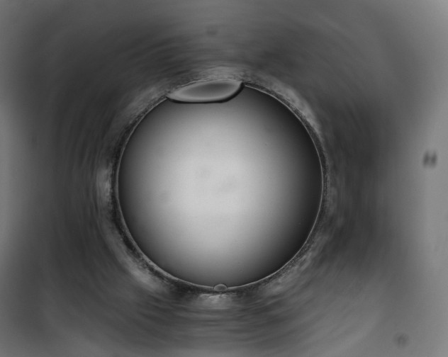 X0000101440057200807141316