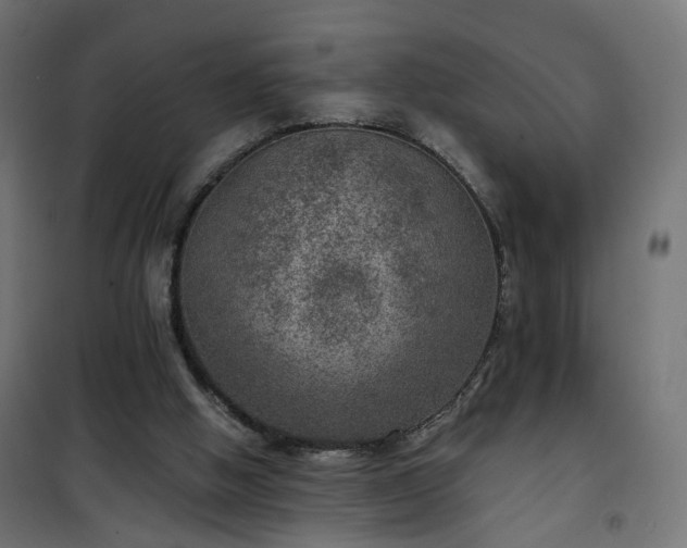 X0000101440058200807141316