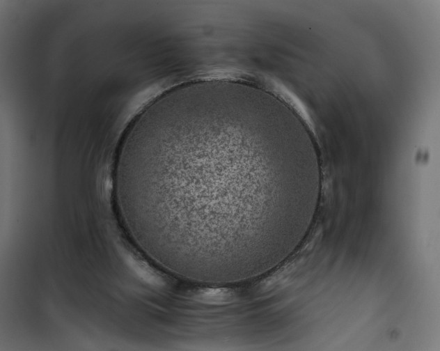 X0000101440059200807141316