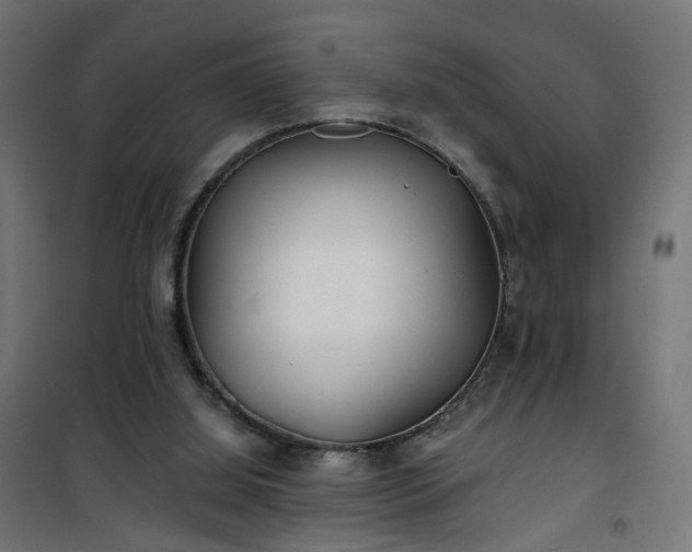 X0000101440060200807141316