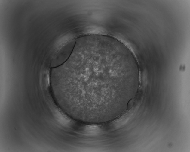 X0000101440061200807141316