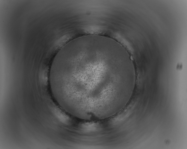 X0000101440065200807141316