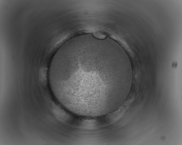 X0000101440066200807141316