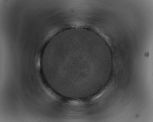 X0000101440067200807141316