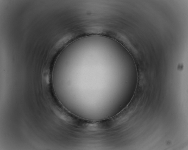 X0000101440068200807141316