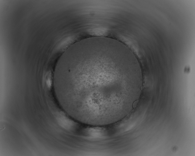 X0000101440069200807141316