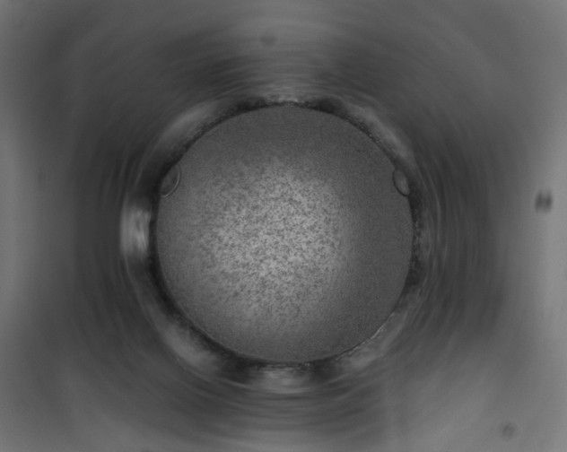 X0000101440070200807141316