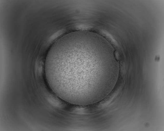 X0000101440071200807141316