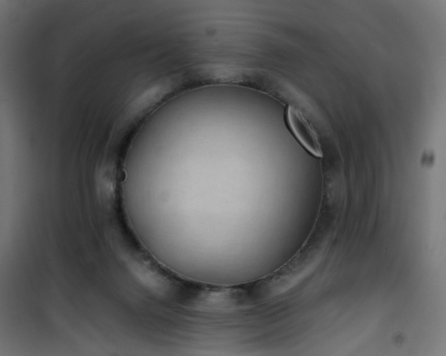 X0000101440072200807141316