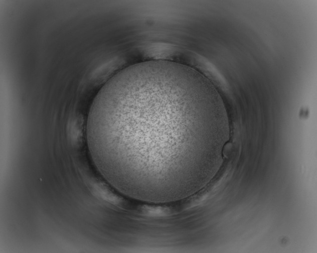 X0000101440073200807141316