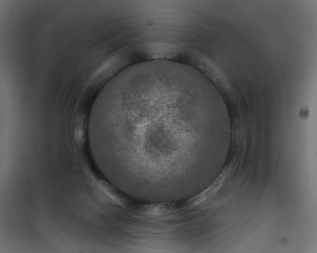 X0000101440074200807141316