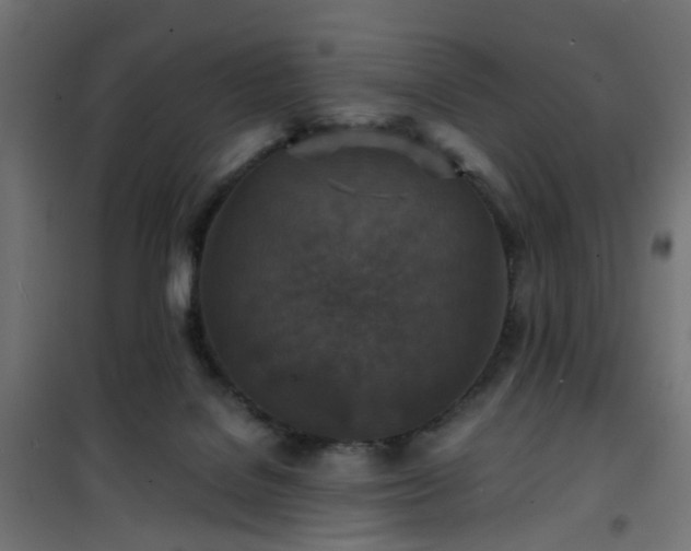 X0000101440076200807141316