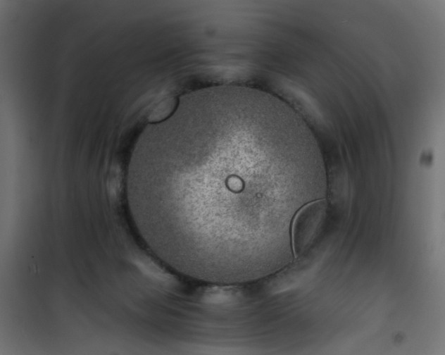 X0000101440077200807141316