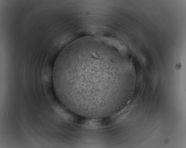 X0000101440078200807141316