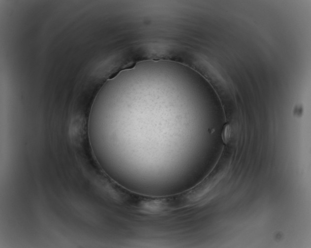 X0000101440079200807141316