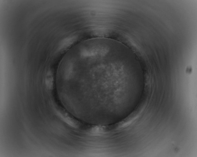 X0000101440080200807141316