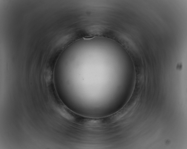 X0000101440081200807141316