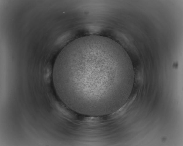 X0000101440082200807141316