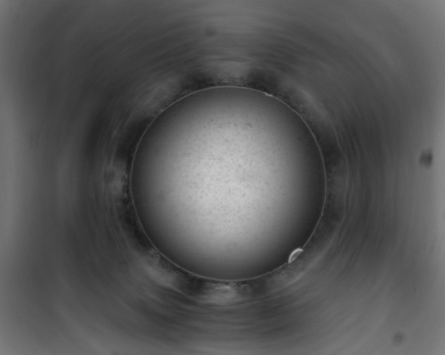 X0000101440083200807141316