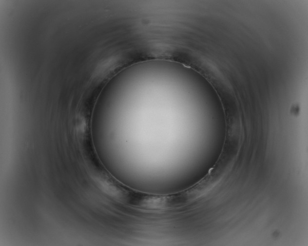 X0000101440084200807141317