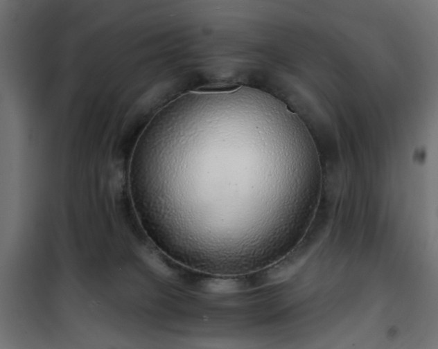 X0000101440085200807141317