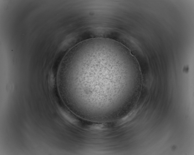 X0000101440086200807141317