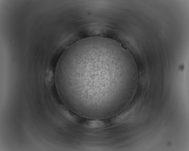 X0000101440087200807141317