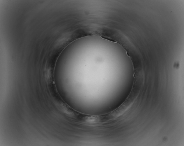 X0000101440088200807141317