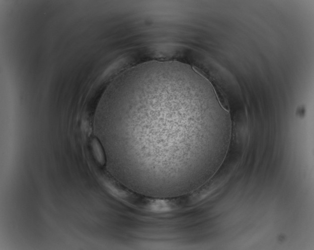 X0000101440091200807141317