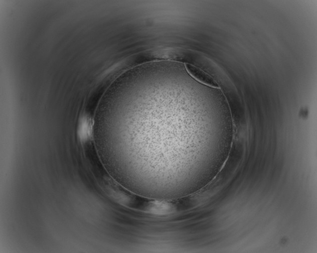 X0000101440095200807141317