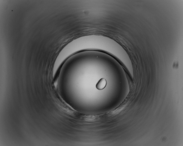 X0000101440096200807141317