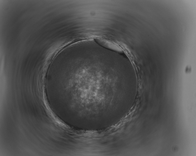 X0000101440097200807141316