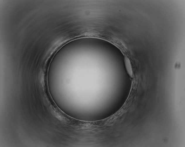 X0000101440098200807141316