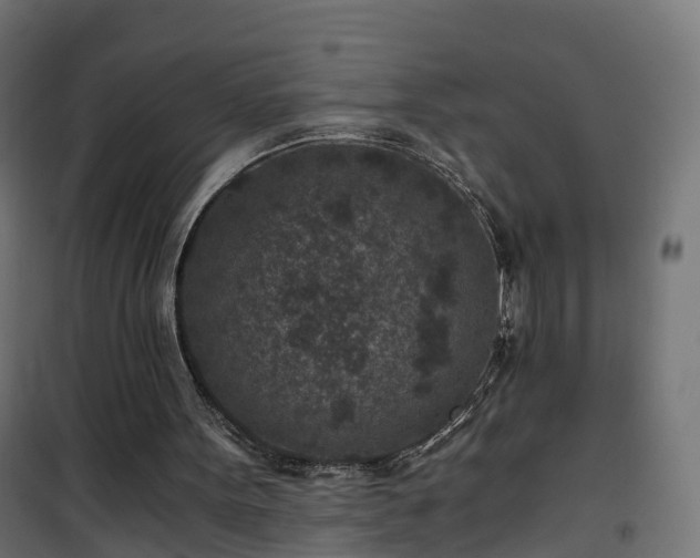 X0000101440099200807141316