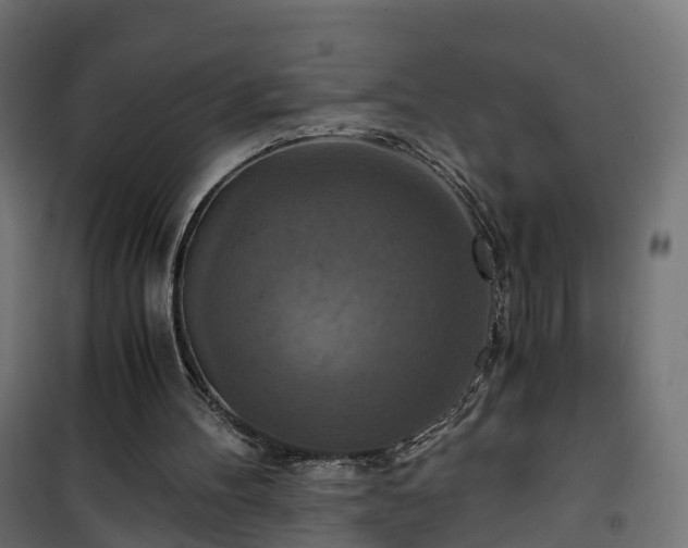 X0000101440100200807141316