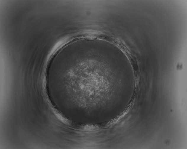 X0000101440101200807141316