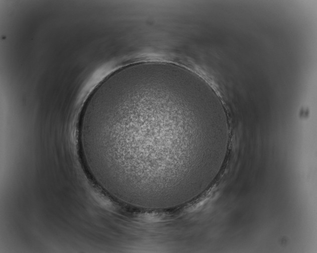 X0000101440103200807141316