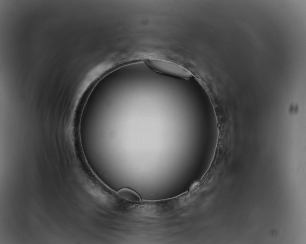 X0000101440104200807141316