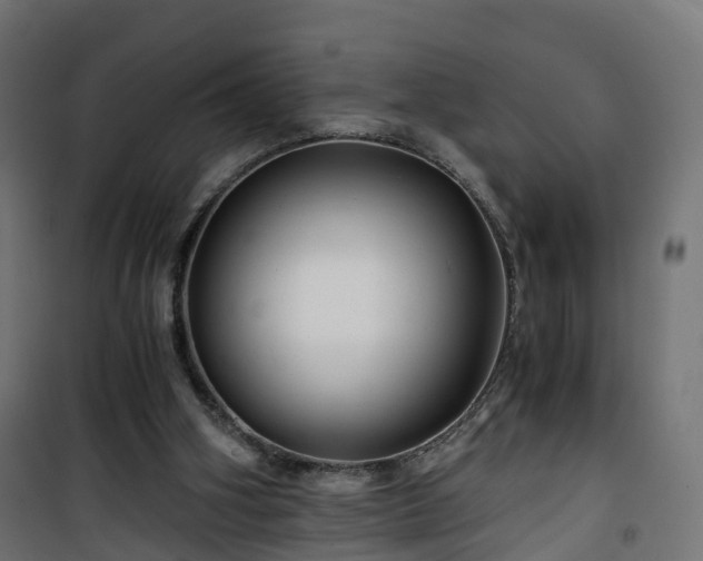 X0000101440106200807141316