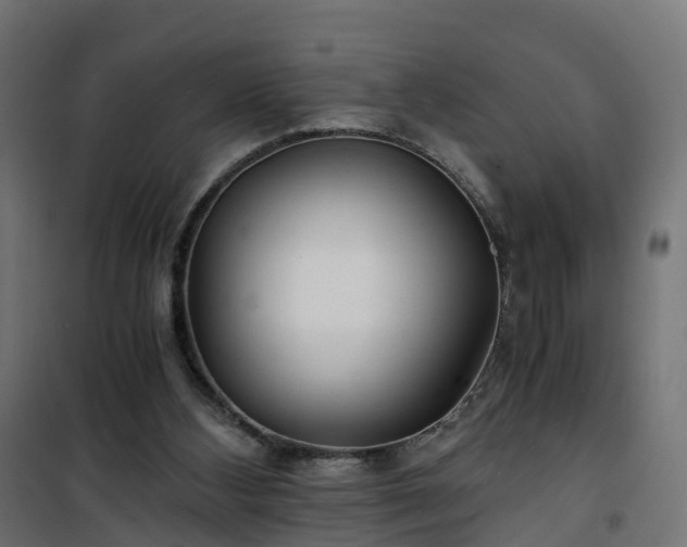 X0000101440108200807141316