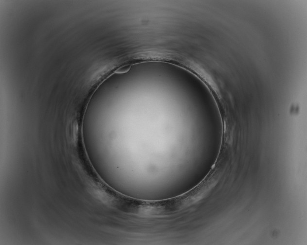 X0000101440109200807141316