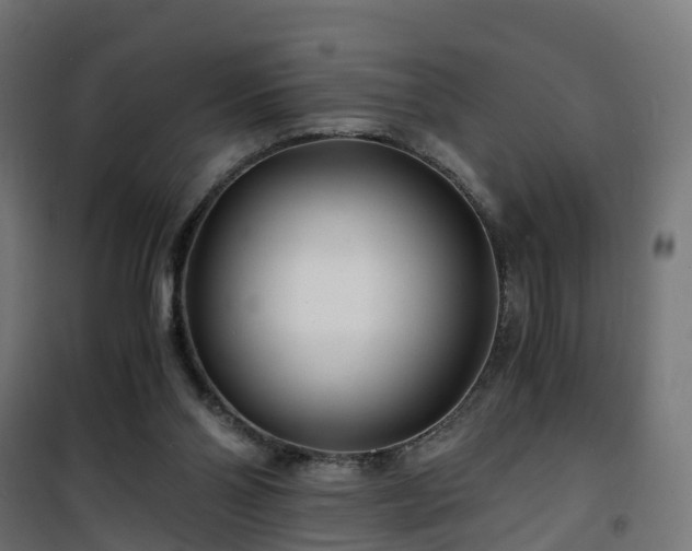 X0000101440110200807141316