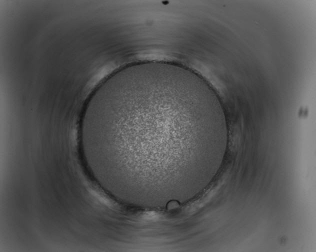 X0000101440111200807141316