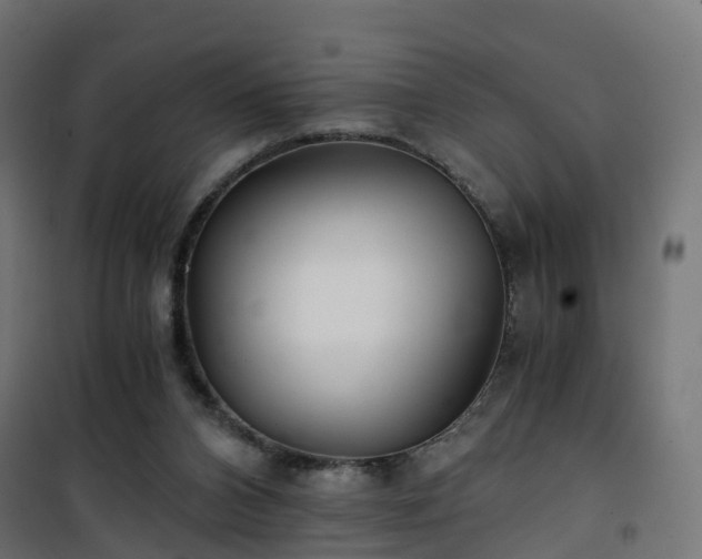 X0000101440112200807141316