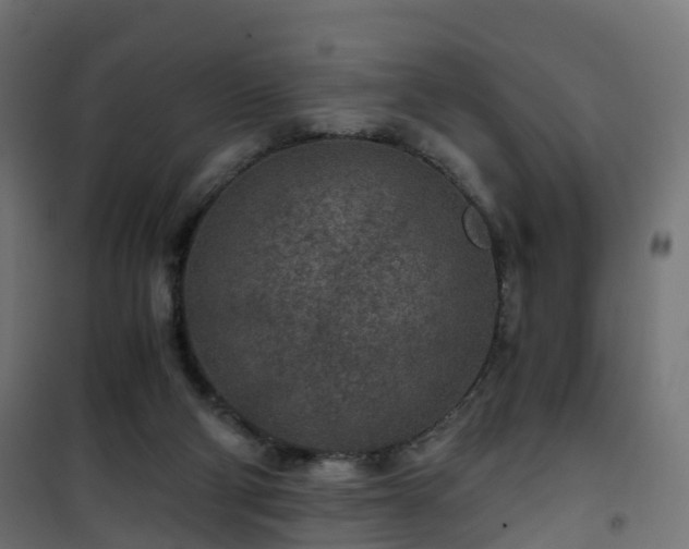 X0000101440114200807141316