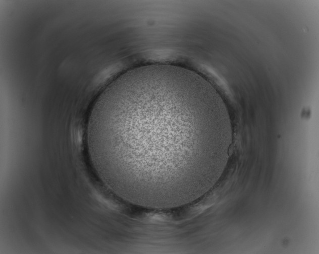 X0000101440115200807141316