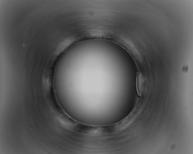 X0000101440116200807141316