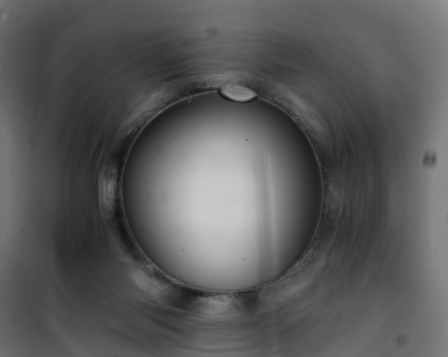 X0000101440118200807141316